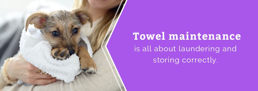 Towel maintenance is all about laundering and storing correctly.